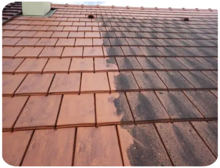 Démoussage de toiture devis Rouen 76100